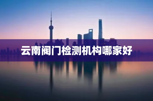 云南阀门检测机构哪家好